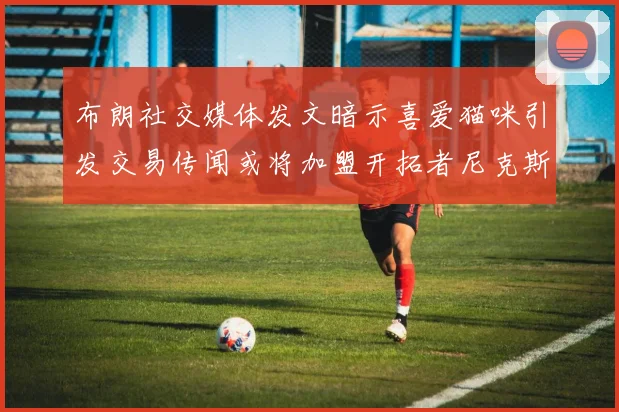布朗社交媒体发文暗示喜爱猫咪引发交易传闻或将加盟开拓者尼克斯雷霆湖人