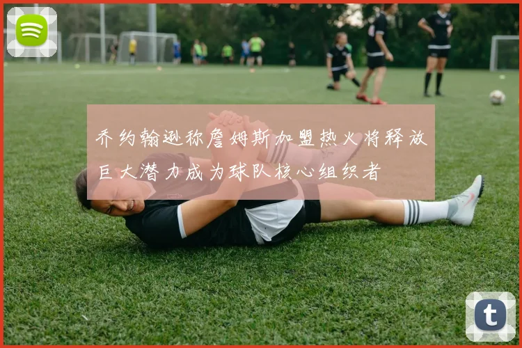 乔约翰逊称詹姆斯加盟热火将释放巨大潜力成为球队核心组织者